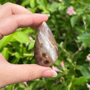 Enhydro Agate Nodule / Brazil