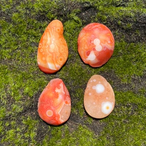 You Choose / Gobi Agate Palm Stone / Mongolia