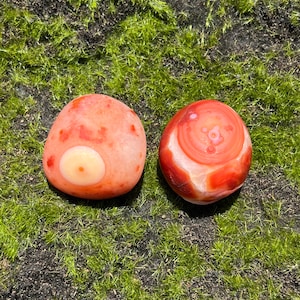 You Choose / Gobi Agate Palm Stone / Mongolia