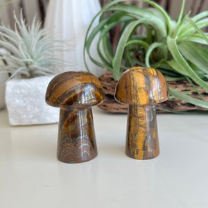 You Choose / Tiger’s Eye Mushroom / Mushroom Carving