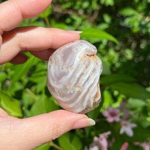 Enhydro Agate Nodule / Brazil
