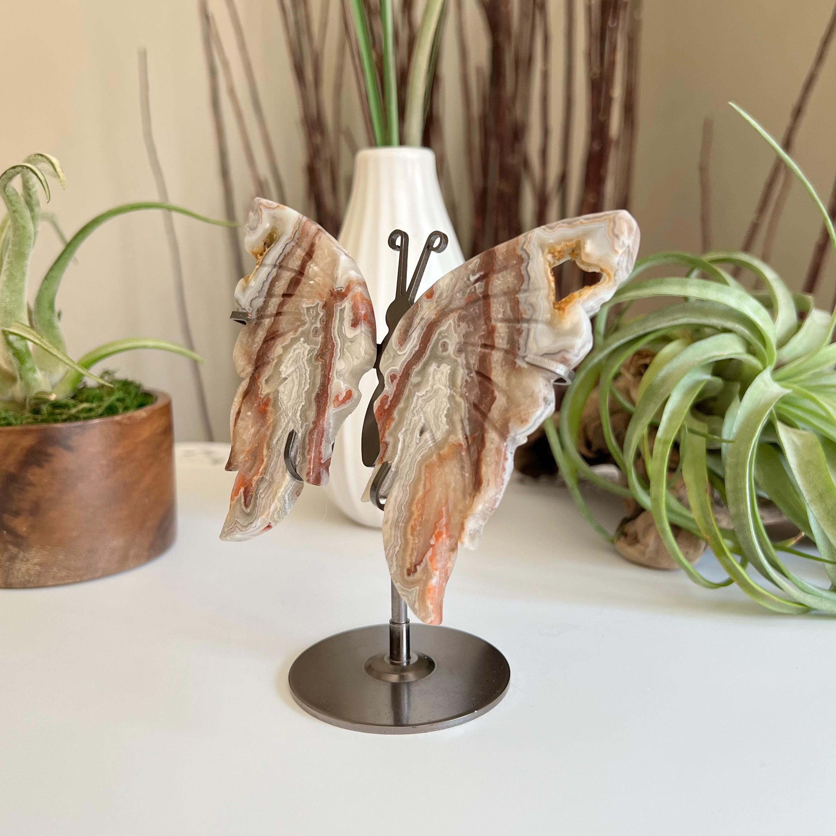 Crazy Lace Agate Butterfly With Stand / Mexican Crazy Lace Agate Crazy Lace Agate Butterfly With Stand / Mexican Crazy Lace Agate