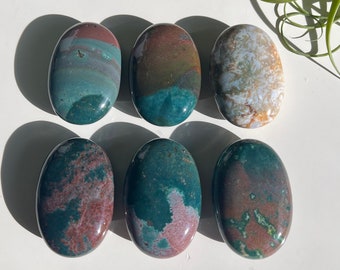 You Choose / Ocean Jasper Palm Stone / Palmstone/ OJ Palmstone / Madagascar