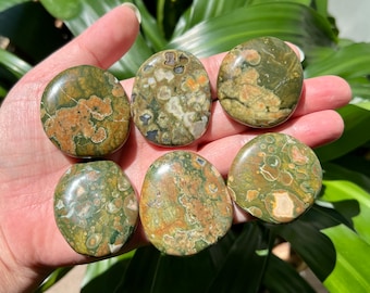 You Choose / Rainforest Jasper Palm Stone / Rhyolite / Pocket Palm Stone