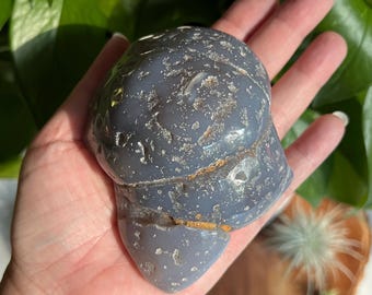 XL Enhydro Agate Nodule / Brazil