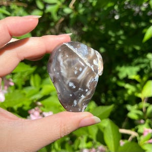 Enhydro Agate Nodule / Brazil