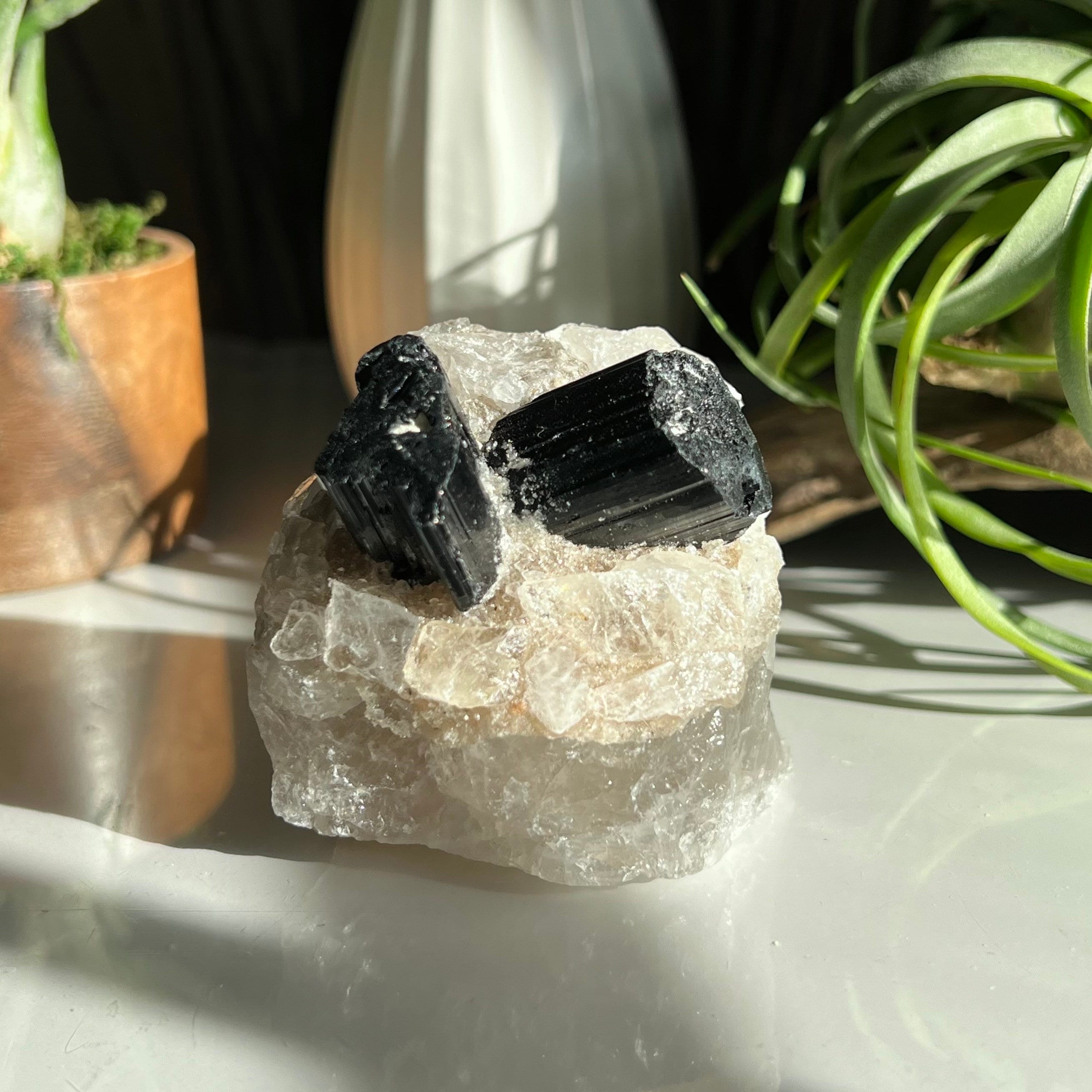 Black Tourmaline on Quartz Matrix Specimen / Raw Black Tourmaline
