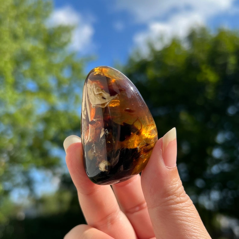 May include: A smooth, polished amber stone with a dark brown, yellow, and white marbled pattern. The stone is oval-shaped and has a glossy finish.