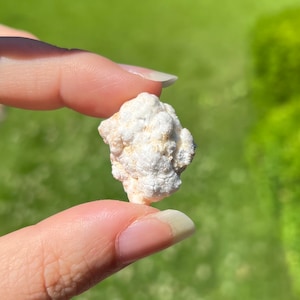 May include: A small, white, rough-textured rock with a cauliflower-like shape.