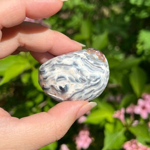Enhydro Agate Nodule / Brazil