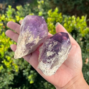 You Choose / Amethyst Raw Point / Amethyst Root Specimen