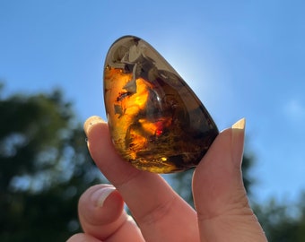 Polished Indonesian Amber