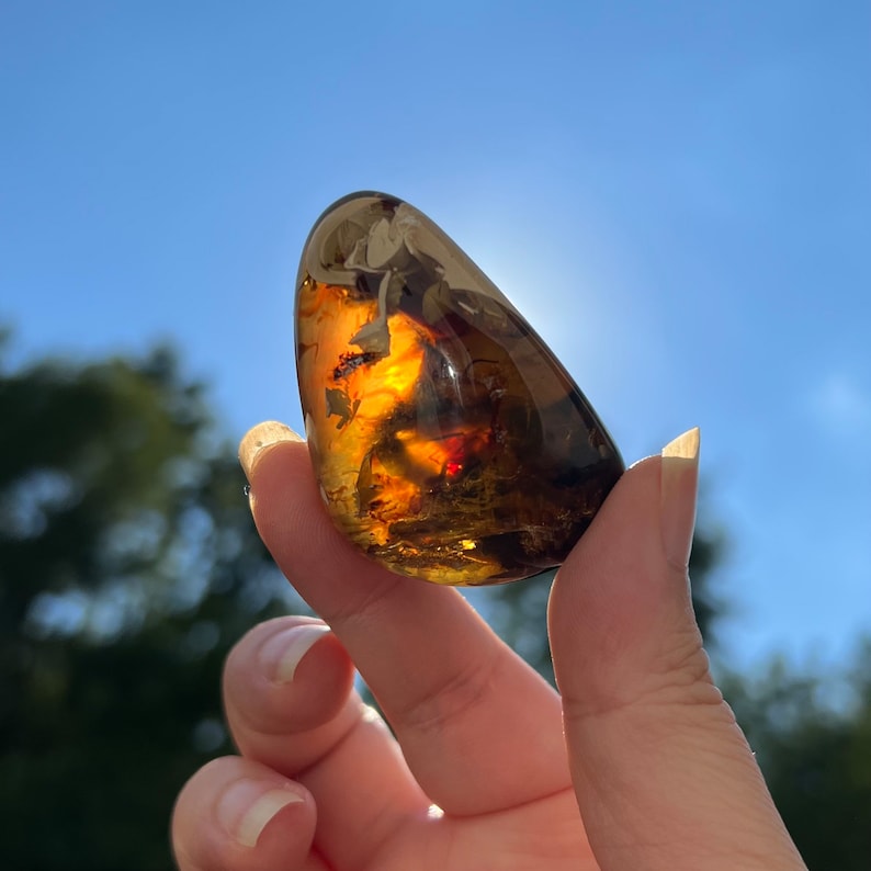 May include: A smooth, teardrop-shaped amber stone with inclusions of plant matter and insects. The stone is a deep orange-brown color and is translucent.