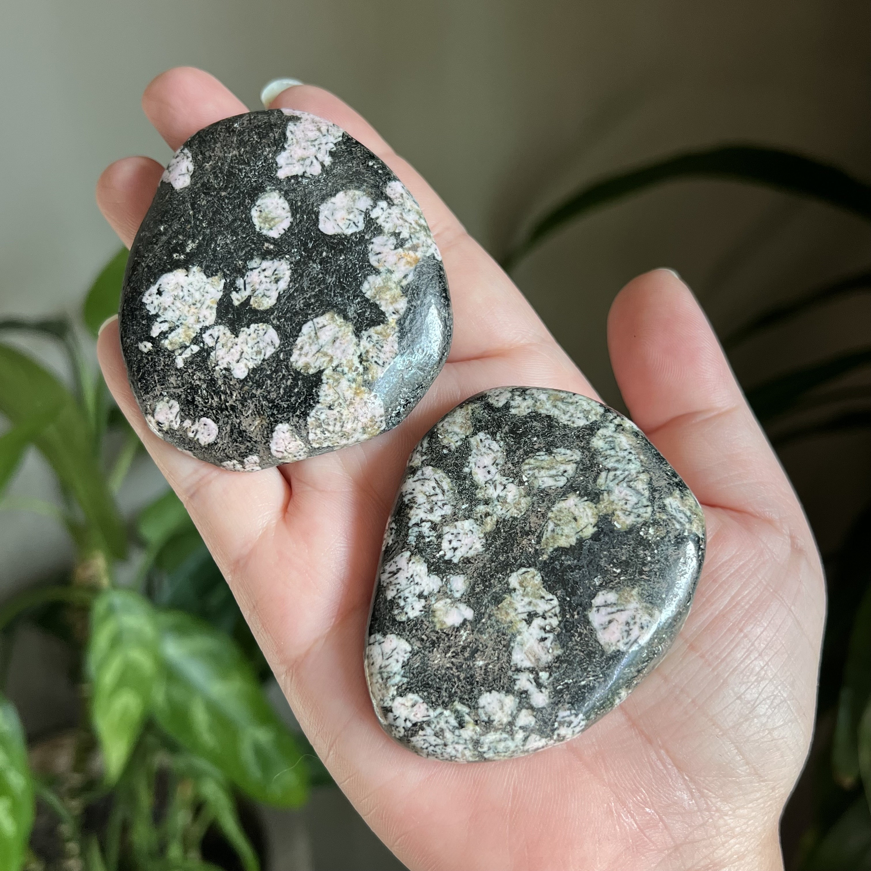 パワーストーン You Choose / Black Jade With Pink Thulite Palm Stone / Pocket Palm