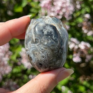 Enhydro Agate Nodule / Brazil