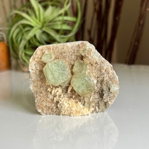 May include: A cluster of light green fluorite crystals embedded in a matrix of beige and brown rock. The fluorite crystals have a glassy luster and are translucent.