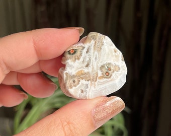 Old Stock Ocean Jasper