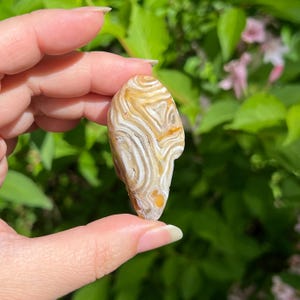 Enhydro Agate Nodule / Brazil