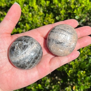 You Choose / Black Moonstone Palm Stone