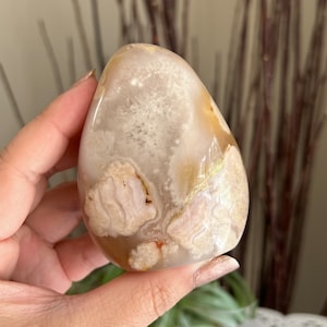Carnelian Flower Agate Freeform