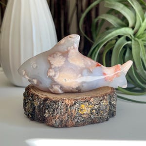 Flower Agate Shark / Hand Carved / Flower Agate Carving