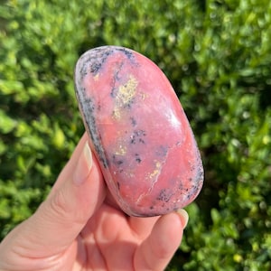May include: A polished, oval-shaped gemstone with a vibrant pink hue, accented by black and gold flecks. The stone is held against a backdrop of green foliage, highlighting its natural beauty and unique patterns.