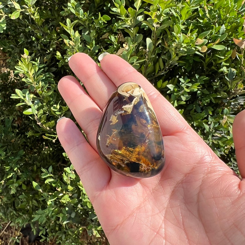 May include: A smooth, dark amber stone with gold and white inclusions. The stone is translucent and has a glossy finish.