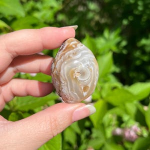 Enhydro Agate Nodule / Brazil