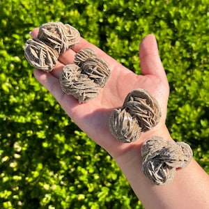 You Choose / Desert Rose Cluster / Gypsum Rose / Selenite Rose / Sand Rose