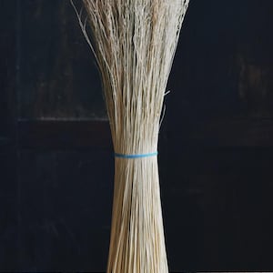 May include: A bundle of dried, pale grass tied with a blue elastic band. The grass is arranged in a conical shape, with the tips fanning out at the top. It rests on a wooden surface against a dark background.