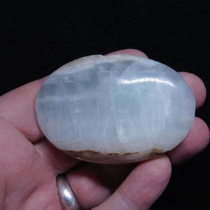 Beautiful caribbean calcite palm stone