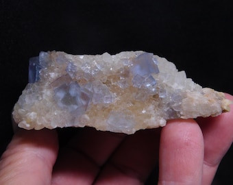 May include: A close-up of a mineral specimen featuring a cluster of pale blue and clear cubic crystals. The crystals are set against a matrix of beige and off-white material, creating a striking contrast. The mineral is held in a hand.