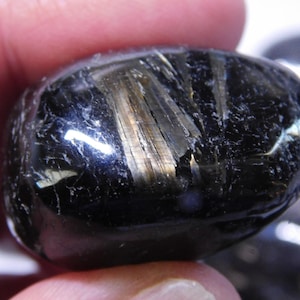 May include: A black gemstone with gold flecks, tumbled and polished into a smooth, oval shape.