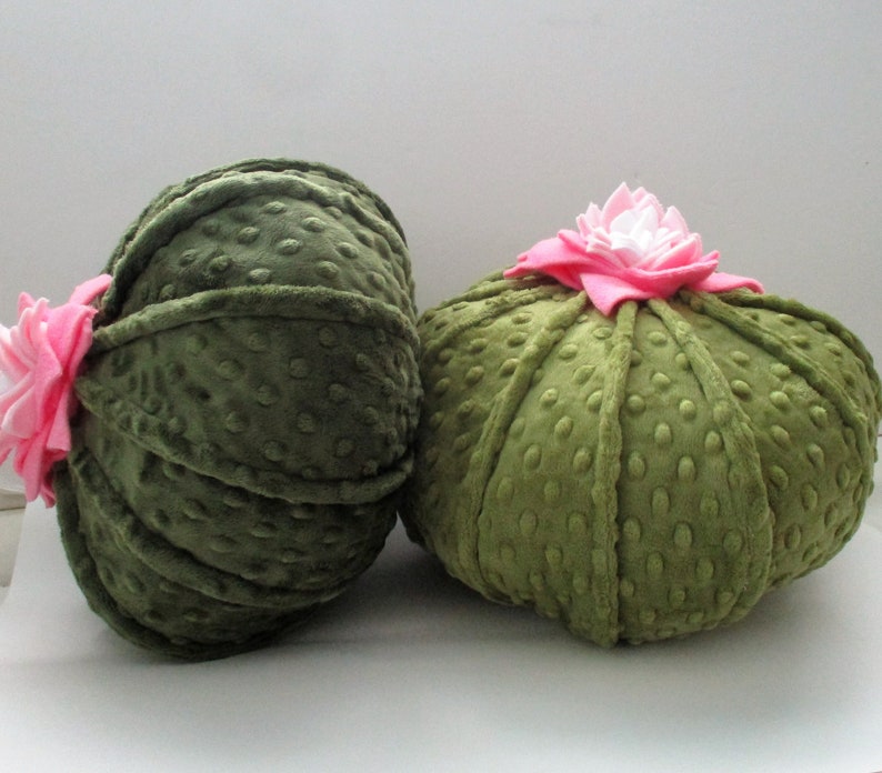 Round cactus pillow succulent pillow plush cactus