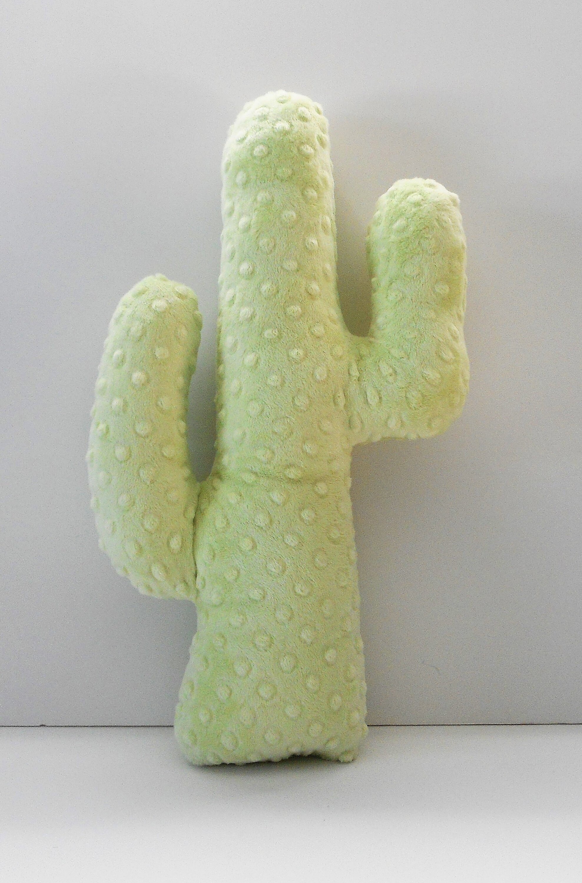 stuffed cactus toy