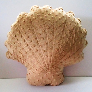 Pode incluir: Uma almofada de pelúcia bege em forma de concha com uma superfície texturizada. A almofada tem a forma de uma concha e apresenta um design em relevo.