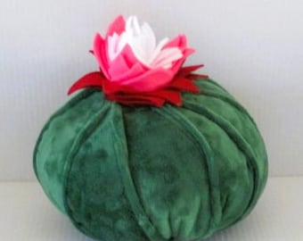Round Cactus Pillow, Minky Plush, Southwest Nursery Decor