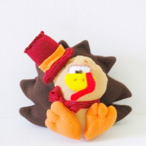 Turkey plushie, Thanksgiving turkey, stuffed turkey, fall decor, Thanksgiving decoration, turkey softie,