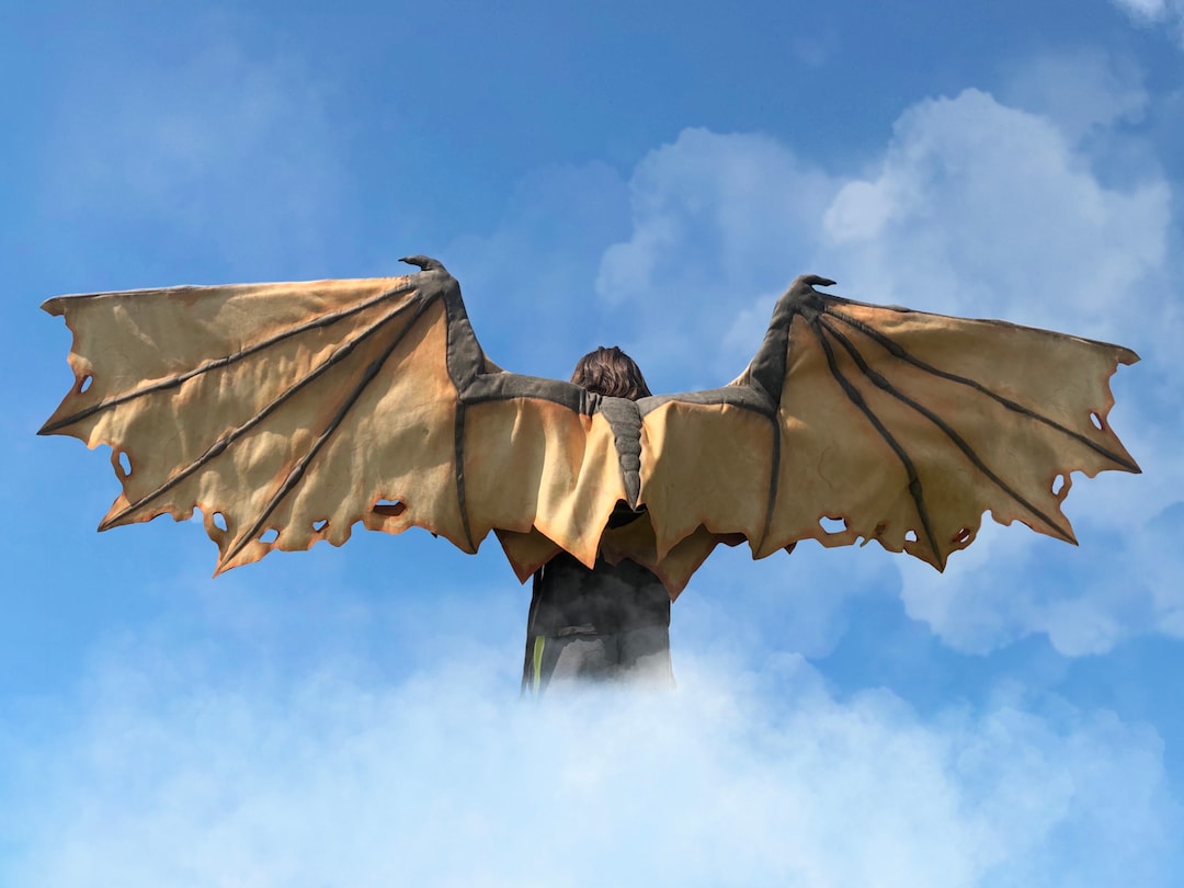 Medium Dragon Wings Custom Made - Etsy