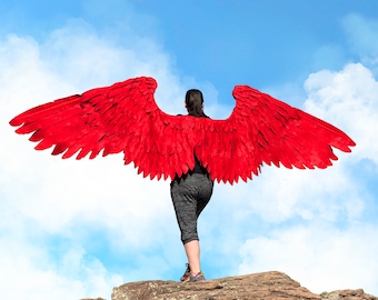 Large Feathered Wings Custom Made
