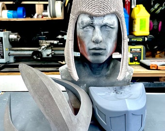 Shredder Armor and Helmet  RAW KIT