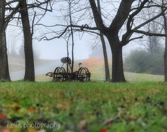 Wall Decor, Photographic Print, Foggy Morning On My Baby Farm In Kentucky, Photography Print or Canvas Art