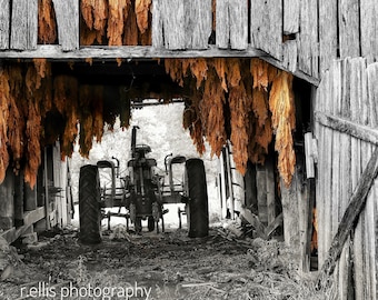 Photography, Primitive, Antique Tractor Print, John Deere Resting in the Tobacco Barn, Photography Print or Canvas Art