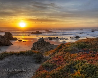 Photography, Wall Decor, Landscape Print, Sunsetting on California Beach, Fort Bragg, California, Photography Print or Canvas Art