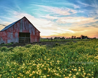 Photography, Landscape, Country Scene, Title:  Sunsetting On A Kentucky Farm, Photography Print or Canvas Art