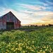 see more listings in the Prints:  Old Barns section