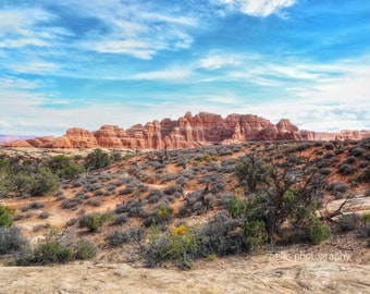 Photography, Wall Decor:  Needles District of Canyonlands NP, Utah, Photography Print or Canvas Art