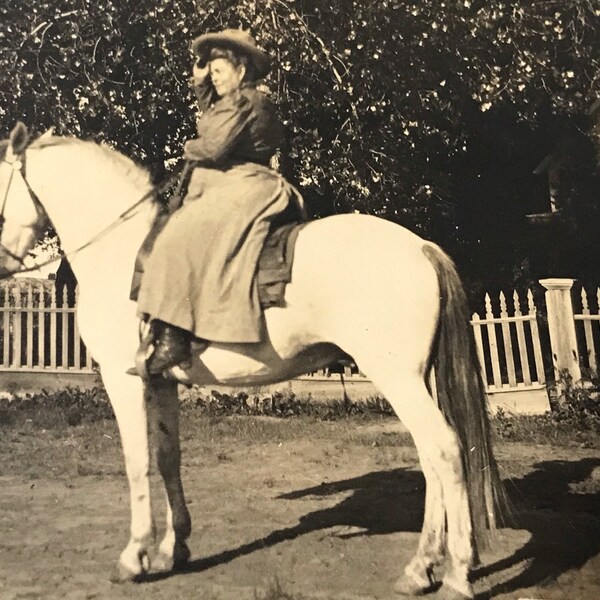 Antique photo postcard of victorian woman on horse black and white