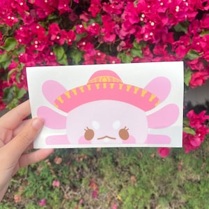 Mariachi Maxolotl Peeker