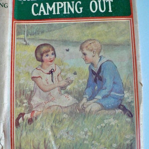Bobbsey Twins Book